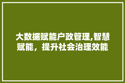 大数据赋能户政管理,智慧赋能，提升社会治理效能