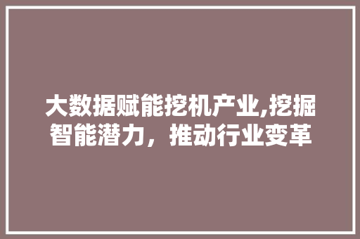 大数据赋能挖机产业,挖掘智能潜力，推动行业变革 友链在线