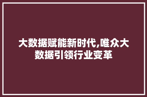 大数据赋能新时代,唯众大数据引领行业变革 友链在线