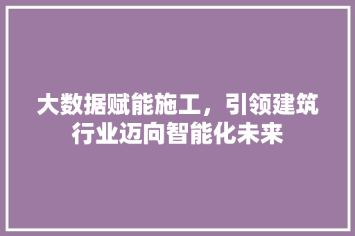 大数据赋能施工，引领建筑行业迈向智能化未来 SEO教程