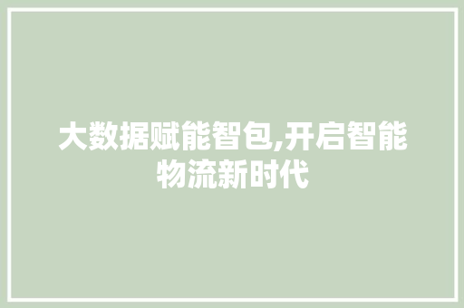 大数据赋能智包,开启智能物流新时代