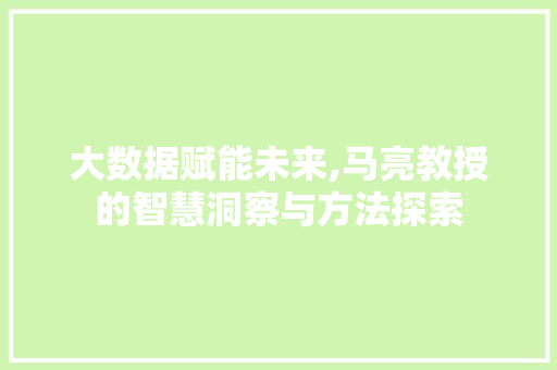 大数据赋能未来,马亮教授的智慧洞察与方法探索