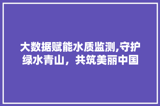 大数据赋能水质监测,守护绿水青山，共筑美丽中国 Web前端