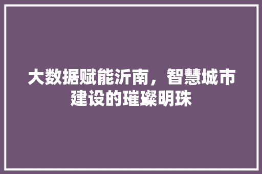 大数据赋能沂南，智慧城市建设的璀璨明珠