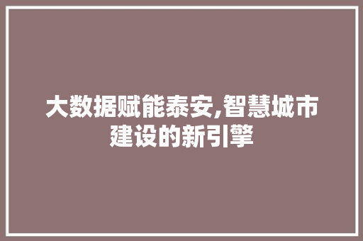 大数据赋能泰安,智慧城市建设的新引擎