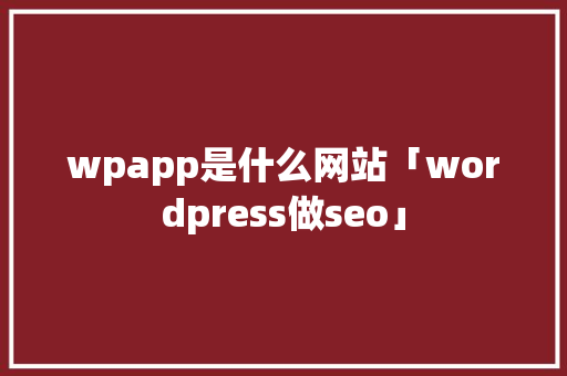 wpapp是什么网站「wordpress做seo」