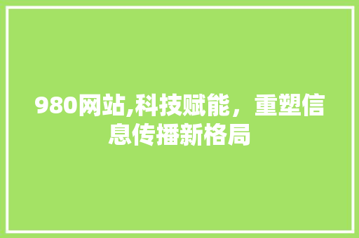 980网站,科技赋能，重塑信息传播新格局