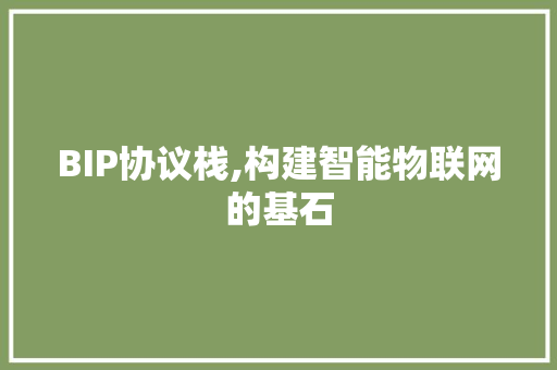 BIP协议栈,构建智能物联网的基石