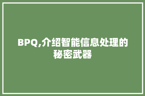BPQ,介绍智能信息处理的秘密武器