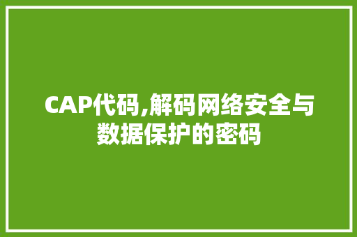 CAP代码,解码网络安全与数据保护的密码 建站教程