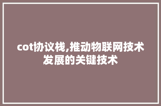 cot协议栈,推动物联网技术发展的关键技术 Web前端