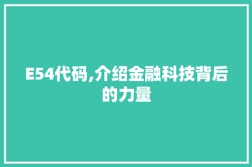 E54代码,介绍金融科技背后的力量 Web前端