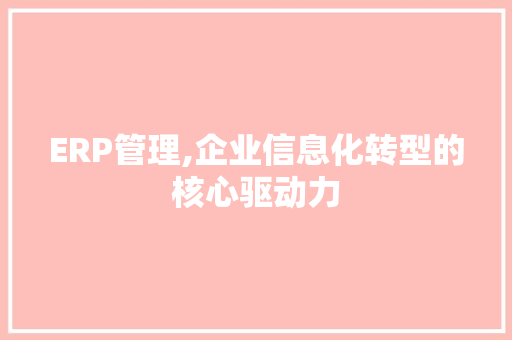 ERP管理,企业信息化转型的核心驱动力 服务器/数据库