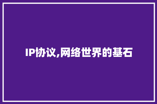 IP协议,网络世界的基石