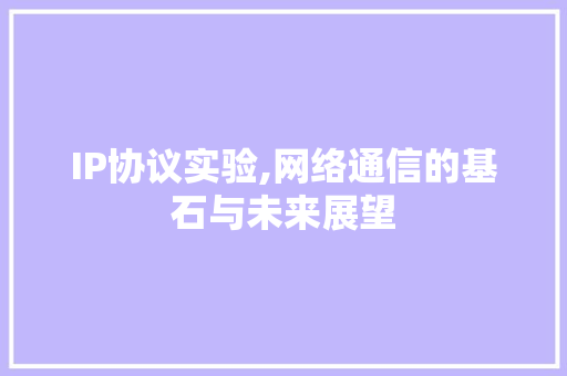 IP协议实验,网络通信的基石与未来展望