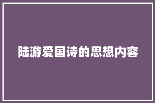JSP边框的艺术,网页美学的创新之旅 WordPress教程