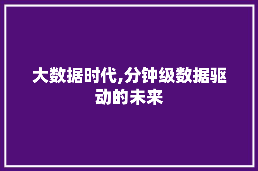 大数据时代,分钟级数据驱动的未来