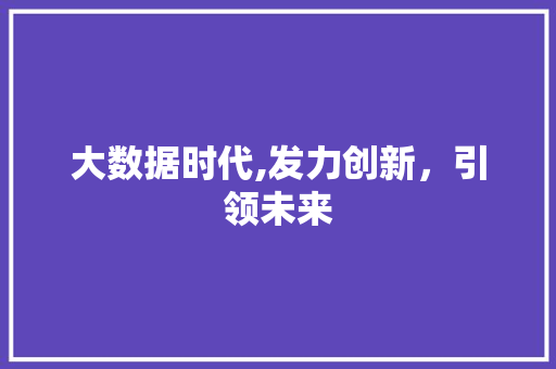大数据时代,发力创新，引领未来 建站教程