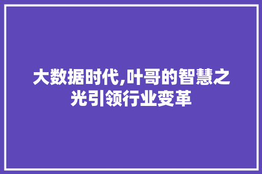 大数据时代,叶哥的智慧之光引领行业变革