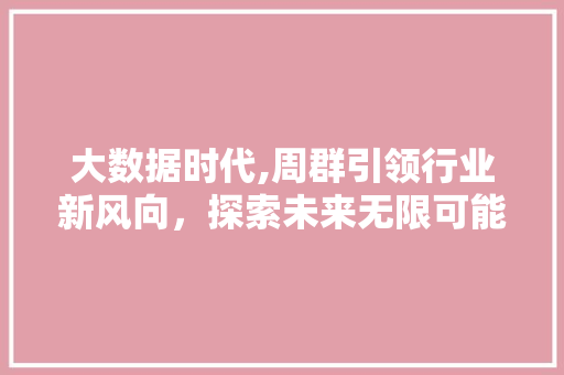 大数据时代,周群引领行业新风向，探索未来无限可能