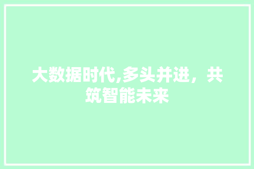 大数据时代,多头并进，共筑智能未来