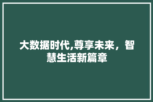大数据时代,尊享未来，智慧生活新篇章