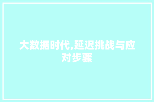 大数据时代,延迟挑战与应对步骤