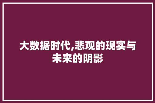 大数据时代,悲观的现实与未来的阴影