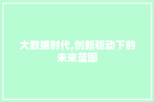 大数据时代,创新驱动下的未来蓝图 SEO教程