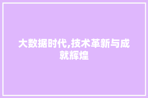 大数据时代,技术革新与成就辉煌 SEO教程