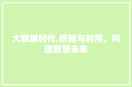 大数据时代,挖掘与利用，构建智慧未来