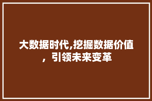 大数据时代,挖掘数据价值，引领未来变革 WordPress教程