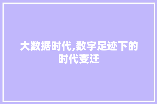 大数据时代,数字足迹下的时代变迁 SEO教程