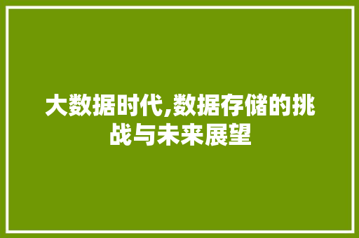 大数据时代,数据存储的挑战与未来展望 建站教程