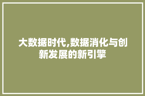 大数据时代,数据消化与创新发展的新引擎 SEO教程