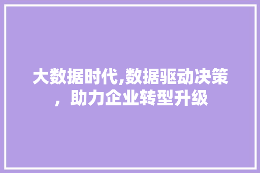 大数据时代,数据驱动决策，助力企业转型升级 建站教程