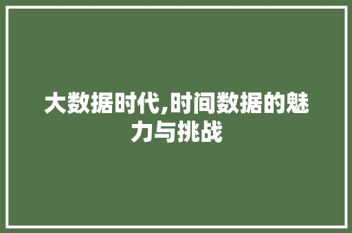 大数据时代,时间数据的魅力与挑战 SEO教程