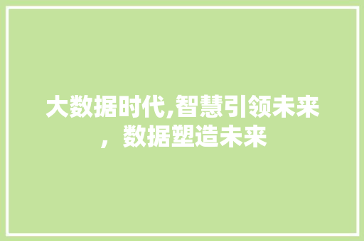 大数据时代,智慧引领未来，数据塑造未来