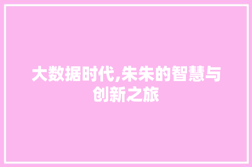 大数据时代,朱朱的智慧与创新之旅 WordPress教程