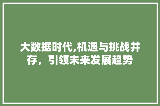 大数据时代,机遇与挑战并存，引领未来发展趋势