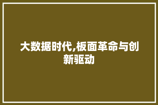 大数据时代,板面革命与创新驱动