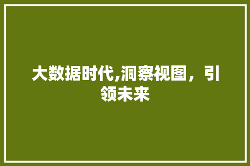 大数据时代,洞察视图，引领未来