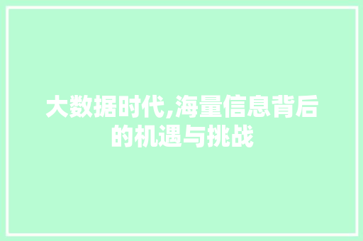 大数据时代,海量信息背后的机遇与挑战