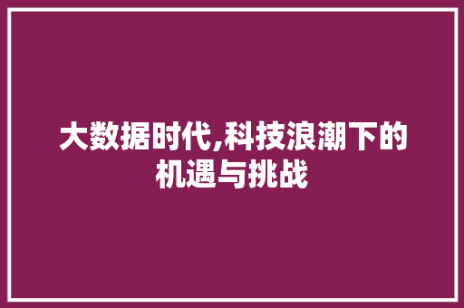 大数据时代,科技浪潮下的机遇与挑战