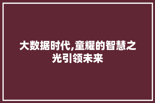 大数据时代,童耀的智慧之光引领未来