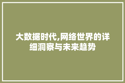 大数据时代,网络世界的详细洞察与未来趋势