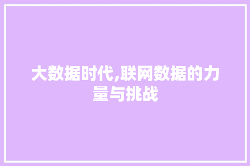 大数据时代,联网数据的力量与挑战