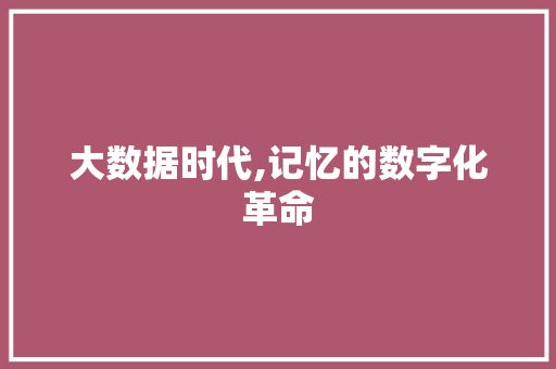 大数据时代,记忆的数字化革命