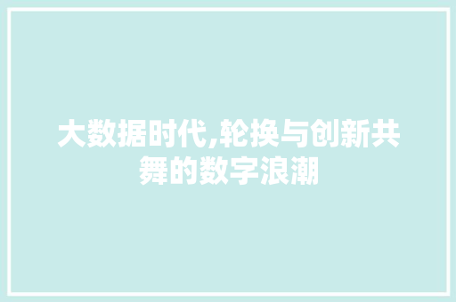 大数据时代,轮换与创新共舞的数字浪潮