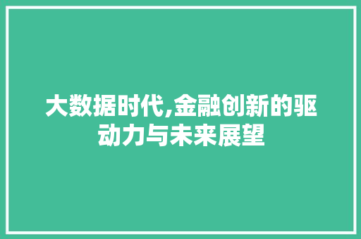 大数据时代,金融创新的驱动力与未来展望